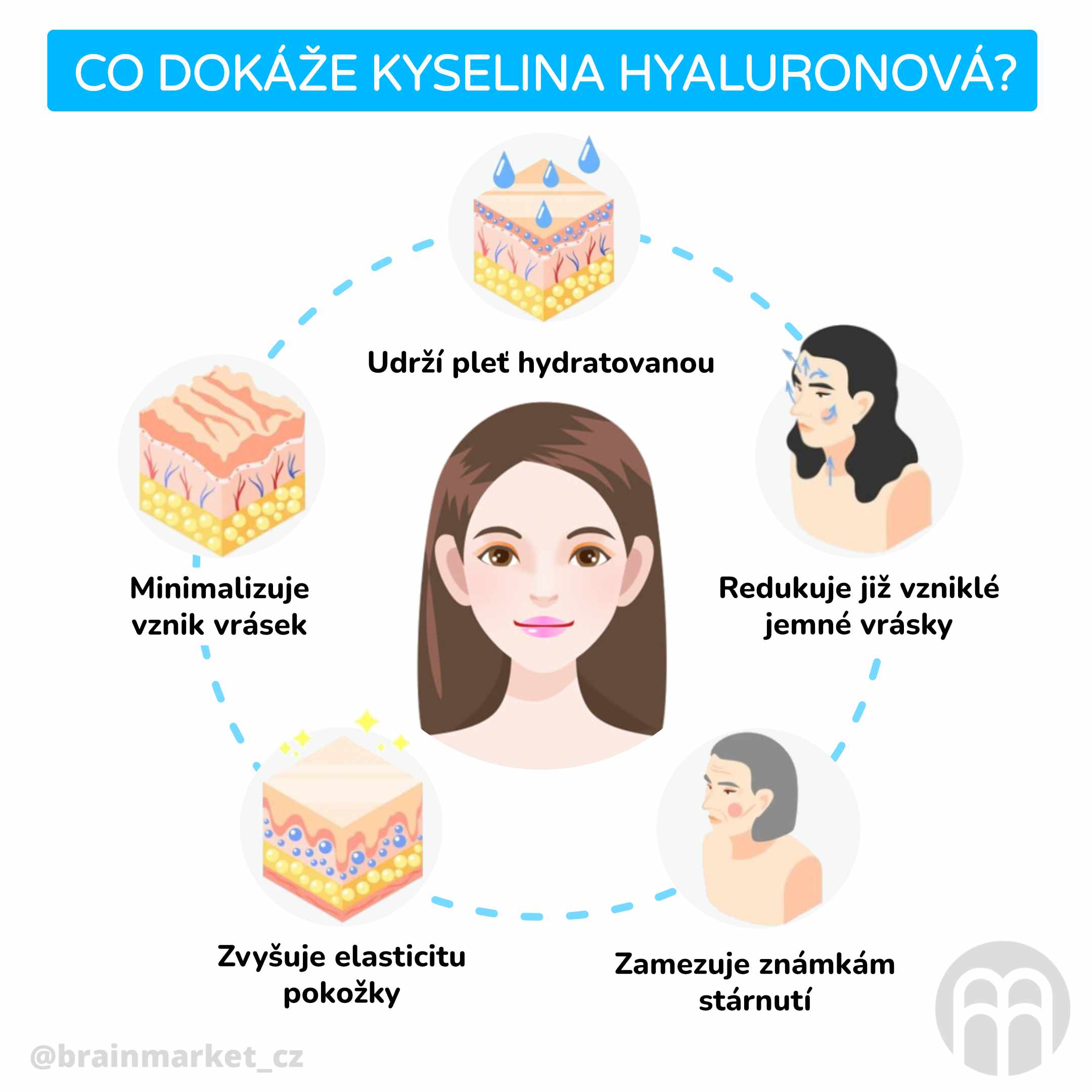 Co dokáže kyselina hyaluronová__inforgafika_cz